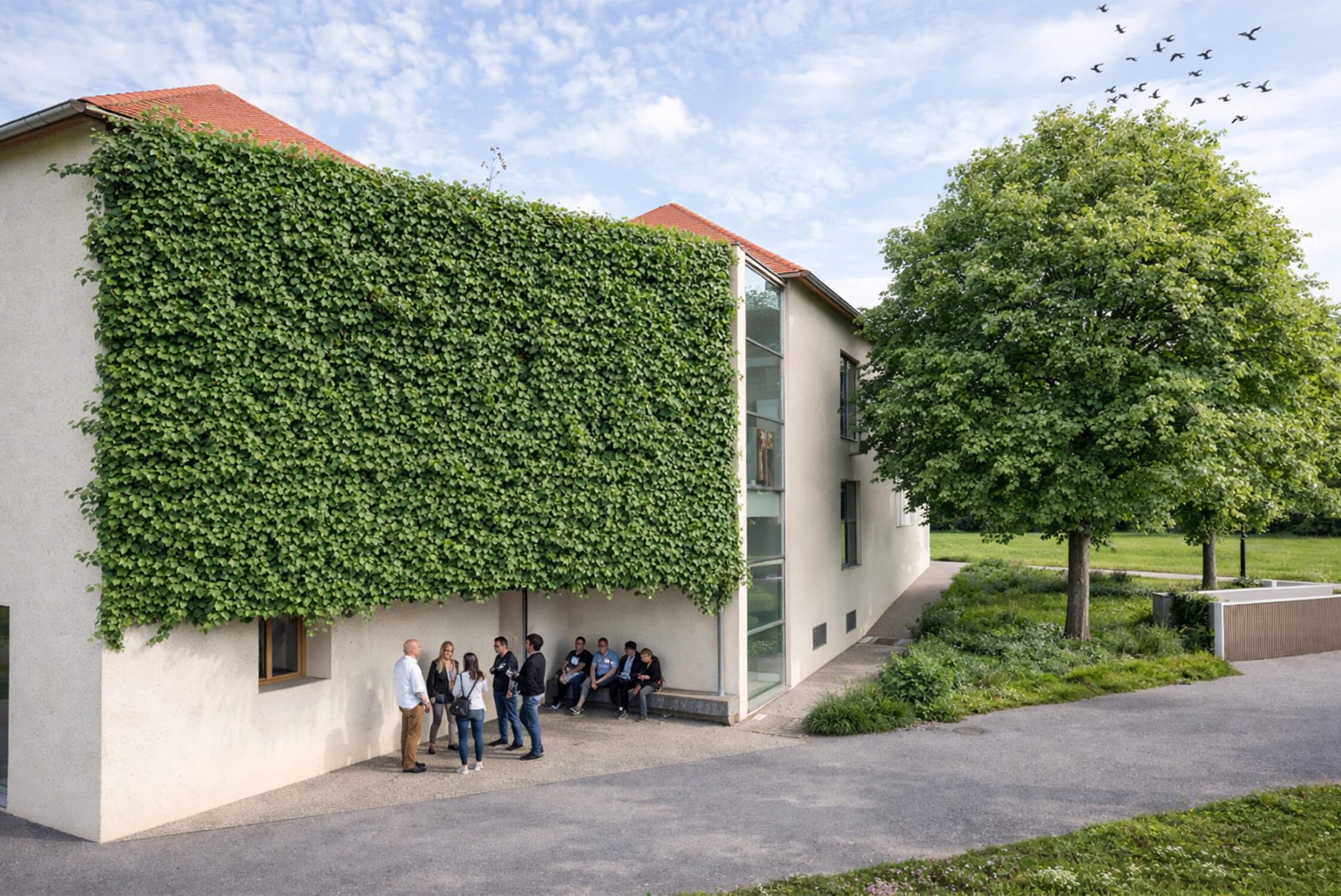 Arhitektura obrasla z bršljanom. Prenova Kulturnega doma Dragatuš.